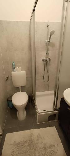 a bathroom with a toilet and a shower and a sink at Privat Appartment Room Martz Dorf in Vienna