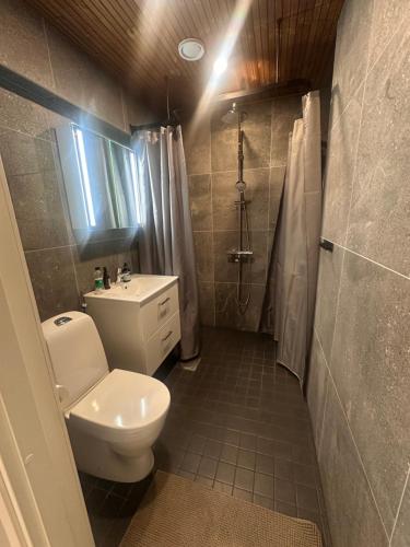 a bathroom with a toilet and a sink and a shower at Apartment Alakorkalo in Rovaniemi