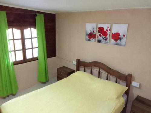 una camera da letto con un letto con tende verdi e una finestra di Complejo La Cabañita a San Rafael