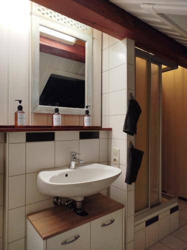 a bathroom with a sink and a mirror at Altstadt Appartement Luka in Roding