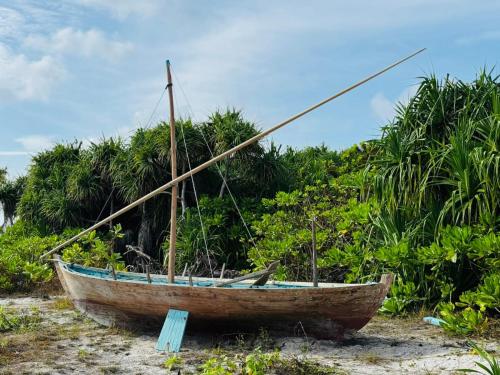 Naturlandskabet i nærheden af pensionatet
