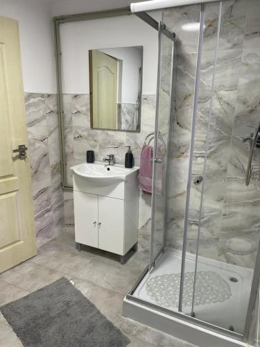 un bagno con lavandino e doccia di Casa Diana a Huedin