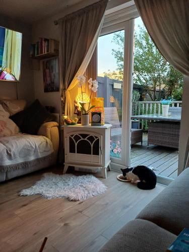 a cat laying on the floor in a living room at Little town house in Birkenhead