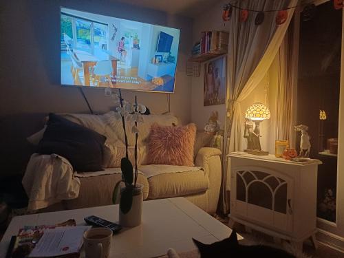 a living room with a tv and a cat in a room at Little town house in Birkenhead