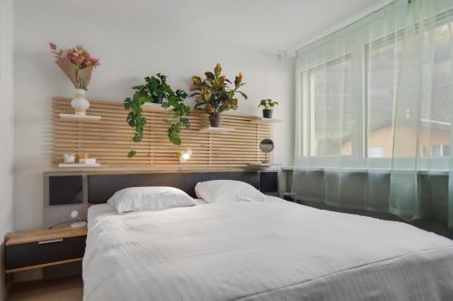 ein Schlafzimmer mit zwei Betten und einem Fenster mit Pflanzen in der Unterkunft Saillon, maison 5 pers - Terrasse - Parking privé in Saillon