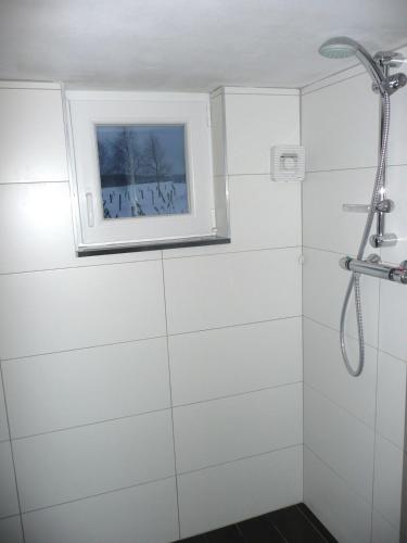 a white bathroom with a shower with a window at Holliday Home La Douane in Gedinne