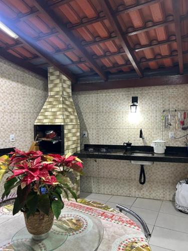 a kitchen with a fireplace and a table with a plant at Recanto familiar in Florianópolis