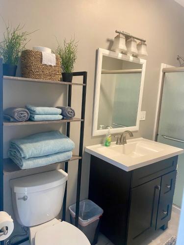 a bathroom with a sink and a toilet and a mirror at Cozy en suite with high ceilings in Framingham