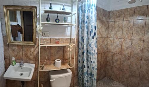 Et badeværelse på Hostal y Restaurante Chilltepe Ataco