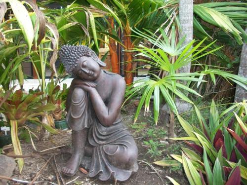 Κήπος έξω από το Forest Lodge: Bali-Style Retreat
