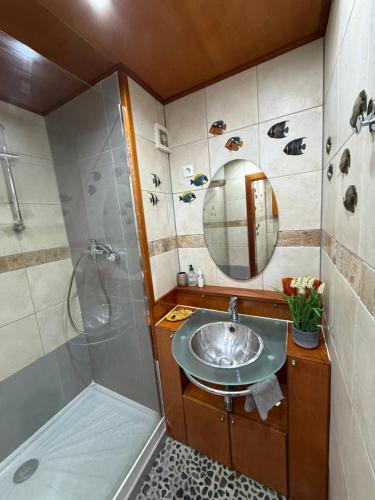a bathroom with a sink and a shower at Brise Marine Sxm in Marigot