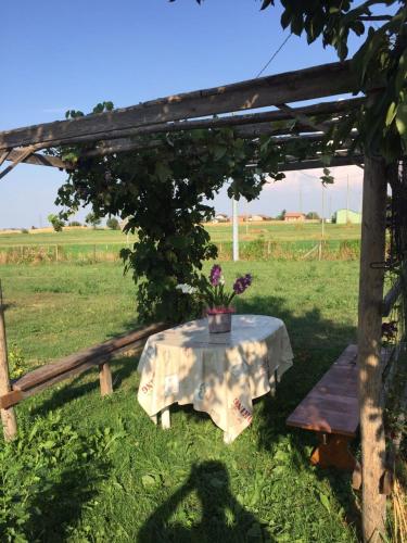 Сад в B & B La Ca' Di Massuc