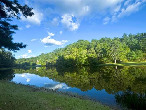 vista su un lago alberato sullo sfondo di Hummingbird Hideaway - Lake Pets Hike Fish a Hidetown