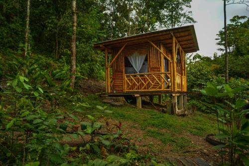 Κήπος έξω από το Donde se Oculta el Sol