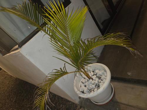 Φωτογραφία από το άλμπουμ του The Palms Property σε Long Mountain