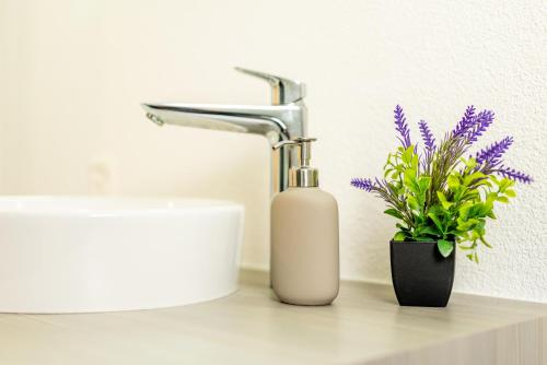 a bathroom sink with a bottle of soap and a plant at Jasminkas Host 3 - Stadtwohnung mit Küche & gratis Parkplatz in St. Gallen