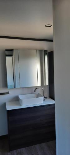 a bathroom with a sink and a mirror at Frogs Hollow in Greytown