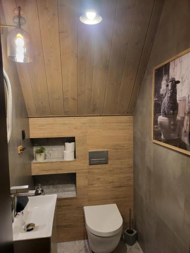 ein Badezimmer mit Toilette und Waschbecken in der Unterkunft Białczańskie Bacówki 2, 4sypialnie in Białka Tatrzańska