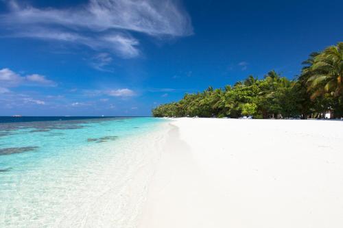 a white beach with palm trees and the ocean at Vilamendhoo Island Resort & Spa in Dhangethi