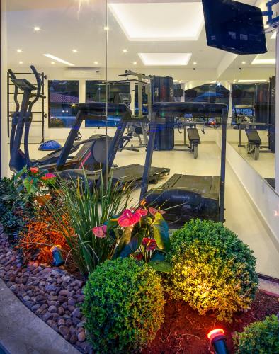 a gym with a fitness room with a treadmill and plants at Angra Boutique Hotel in Angra dos Reis