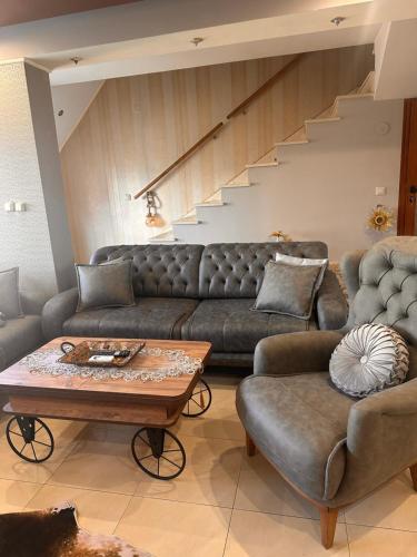 桑丹斯基Мезонет “Djanina”的客厅里有一张沙发和一张桌子。