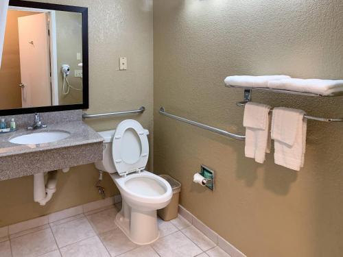 a bathroom with a toilet and a sink and a mirror at Quality Suites Houston NW Cy-Fair in Houston