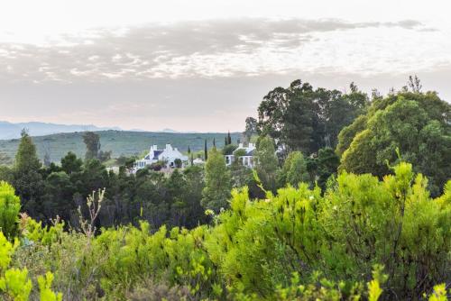 Galenia Estate – Photos 3