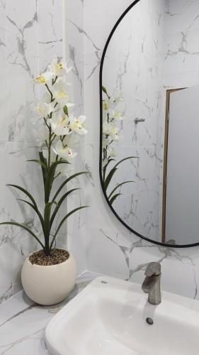 a bathroom with a mirror and a plant on a sink at Tanya's Cafe & Resort in Ban Kasang