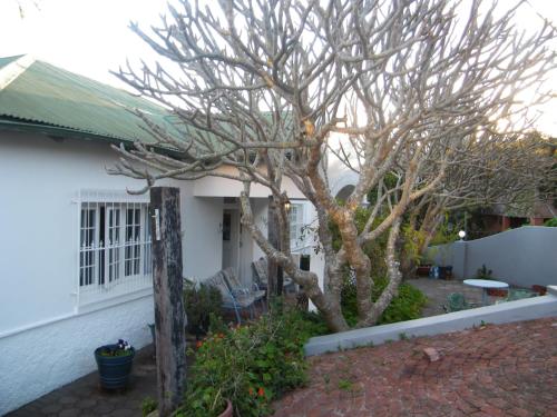 Κήπος έξω από το Valley Guest House
