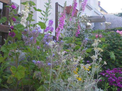 a garden filled with purple and white flowers at Les Chants d'Ailes - Hôtel Face Mer in La Turballe