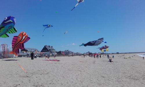 a group of people on a beach flying kites at Les Chants d'Ailes - Hôtel Face Mer in La Turballe