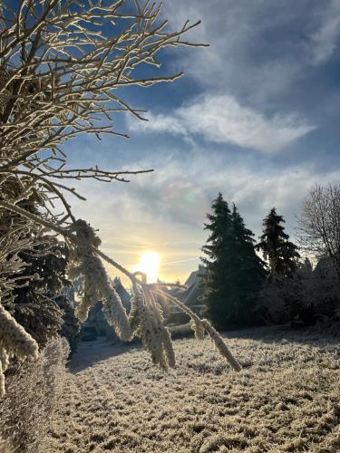 库罗阿尔滕堡Erzgebirgshaus Zirbenliebe的一片雪地,太阳照耀下