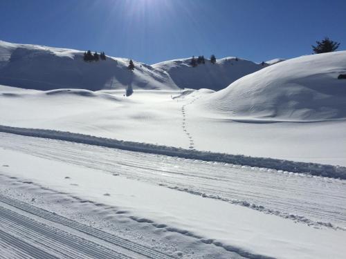 冬のAppartements Ski Rent Michaelの様子