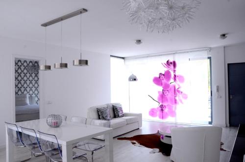 Gallery image of Prassa 3 Boutique Hotel in Mindelo