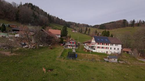HinwilPanorama-Chalet Unterbach的绿色田野上房屋的空中景观