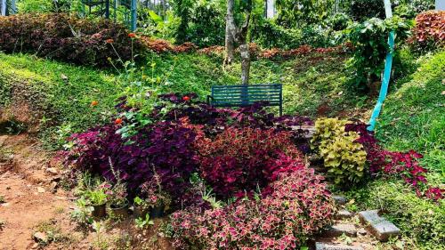 Um jardim no exterior de LilliputHaven Treehut