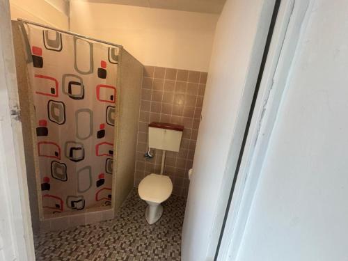 ein Badezimmer mit Toilette und Duschvorhang in der Unterkunft Mayfield Motel in Mayfield