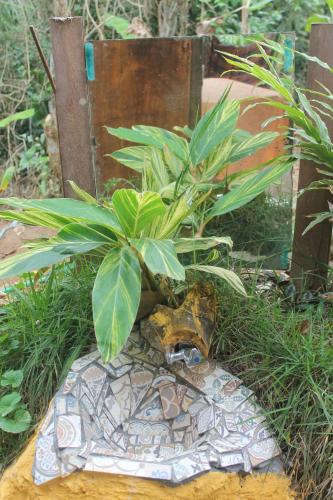 a plant sitting on top of a rock next to a bench at Canto de Paz Trindade Hospedagem in Trindade