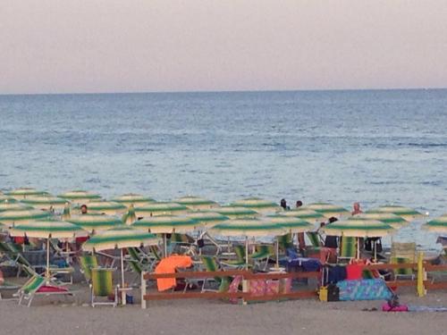 a group of umbrellas on a beach with the ocean at Fiordaliso in Caulonia Marina