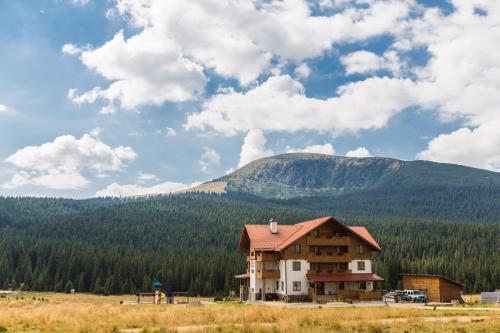 a house in a field with a mountain in the background at Pensiunea Sureanu in Tău Bistra