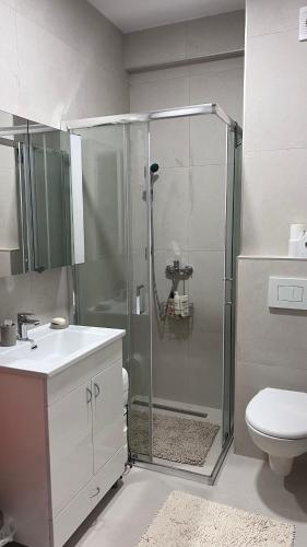 a bathroom with a shower with a toilet and a sink at Vrdnik Residence - Apartmani Anonim in Vrdnik