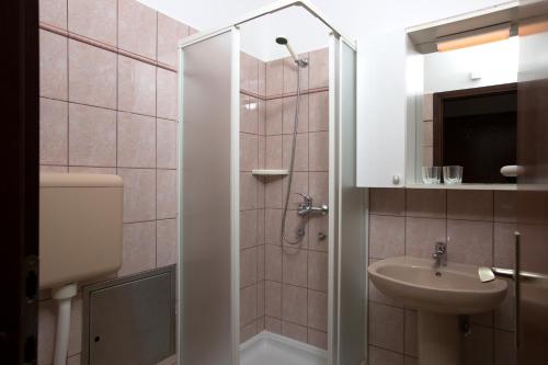 La petite salle de bains est pourvue d'un lavabo et d'une douche. dans l'établissement Apartments Kinkela, à Opatija