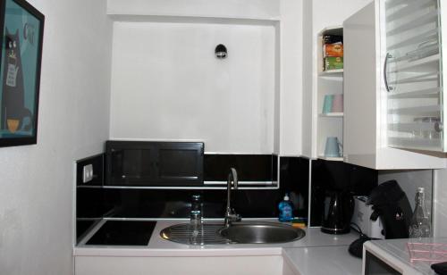 uma cozinha com um lavatório e um micro-ondas em La Colombière - Montélimar em Montélimar