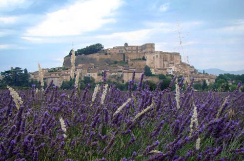 a castle on a hill with a field of purple flowers at La Colombière - Vue imprenable sur l'Ardèche - Très Calme - Très bien situé - Résidence Privée in Montélimar