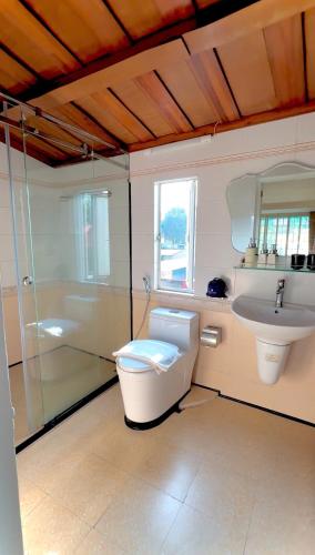 a bathroom with a shower and a toilet and a sink at Hanoi Brilliant Home in Hanoi