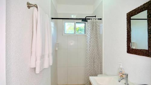 een witte badkamer met douche en wastafel bij Sunny dream in Sandy Bay