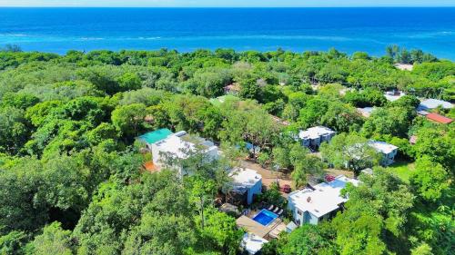een luchtfoto van een huis in het bos bij Sunny dream in Sandy Bay