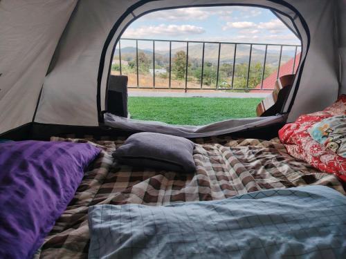 Garden de Arts في باي: سرير في خيمة مع نافذة كبيرة