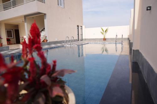 a red flower in front of a swimming pool at The Rukmani villas in Jāmb