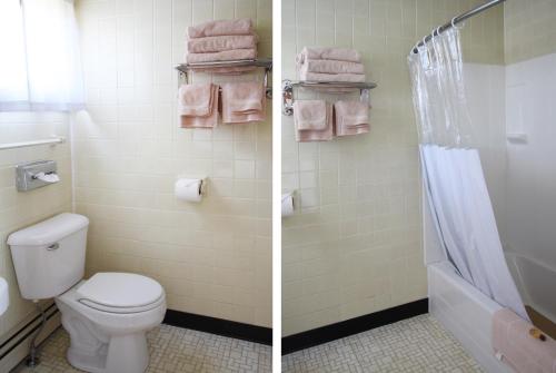 Dos fotografías de un baño con inodoro y ducha. en The Bluebird Motel Maine, en Machias